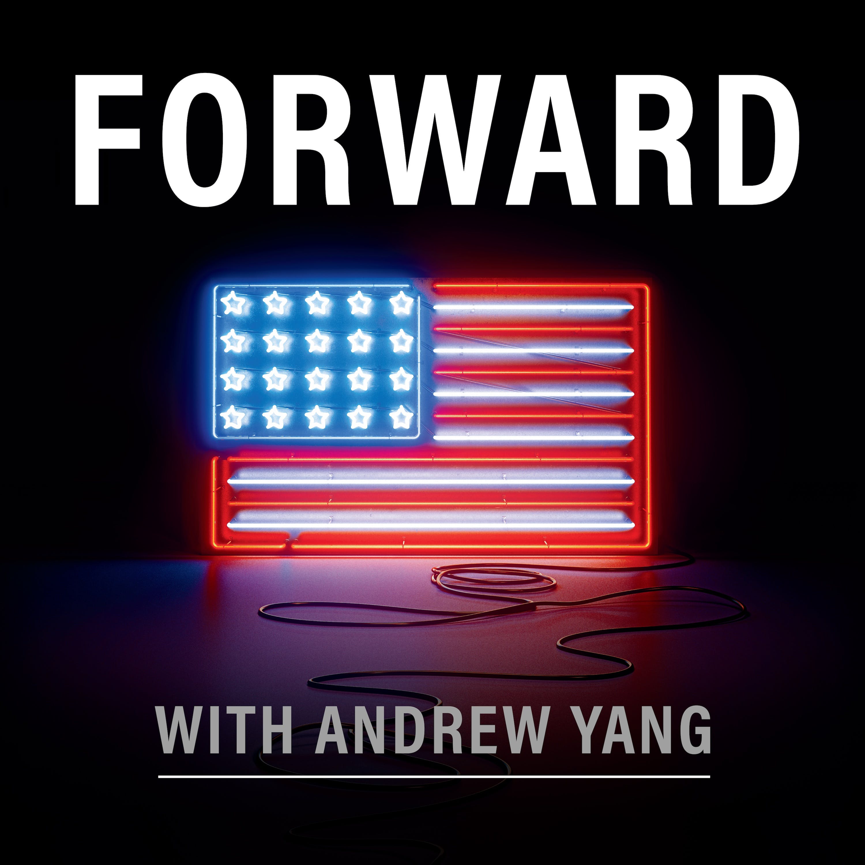 Andrew Yang Argues for More Political Parties; He's Bearish on Republicans & Democrats